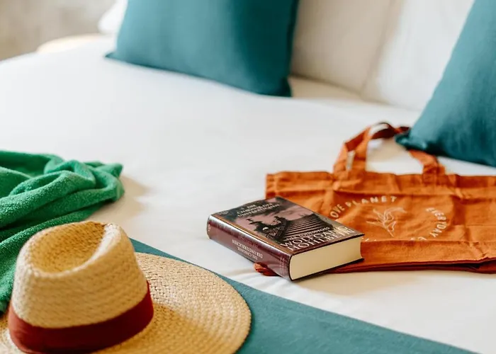 R2 Higos Costa Calma