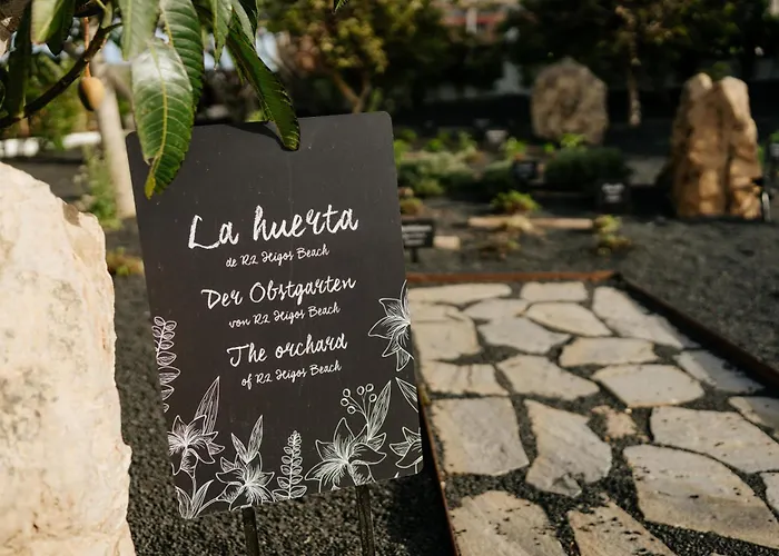 R2 Higos Costa Calma